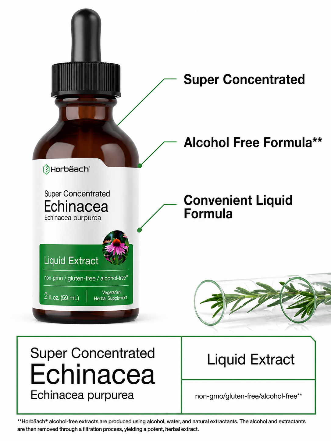 Echinacea Líquida Horbäach | Extracto Concentrado | Defensa Inmune Natural