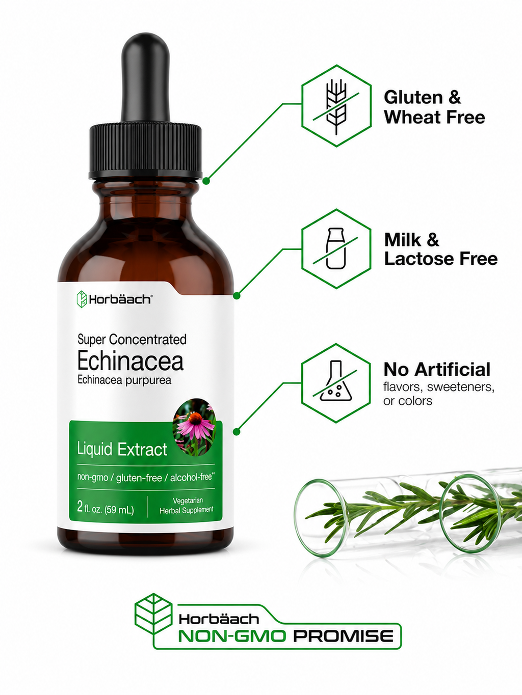 Echinacea Líquida Horbäach | Extracto Concentrado | Defensa Inmune Natural