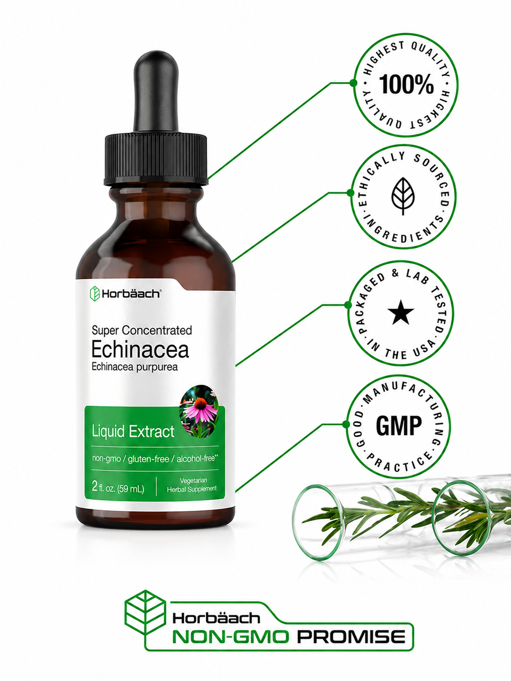 Echinacea Líquida Horbäach | Extracto Concentrado | Defensa Inmune Natural