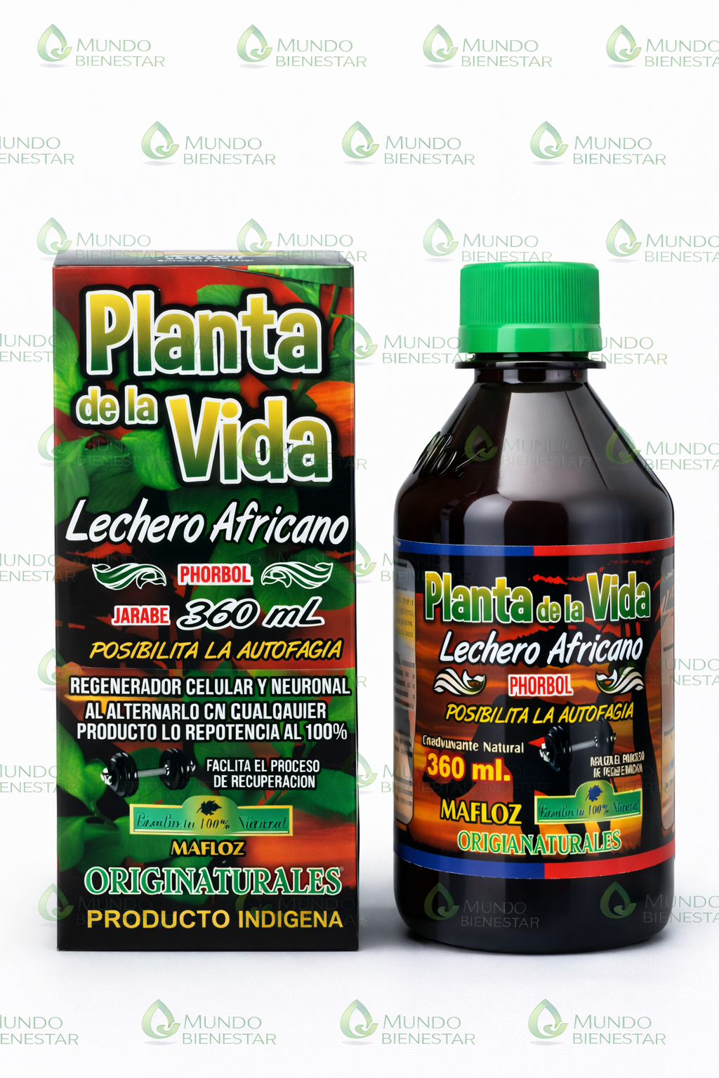 LECHERO AFRICANO X 360 ML