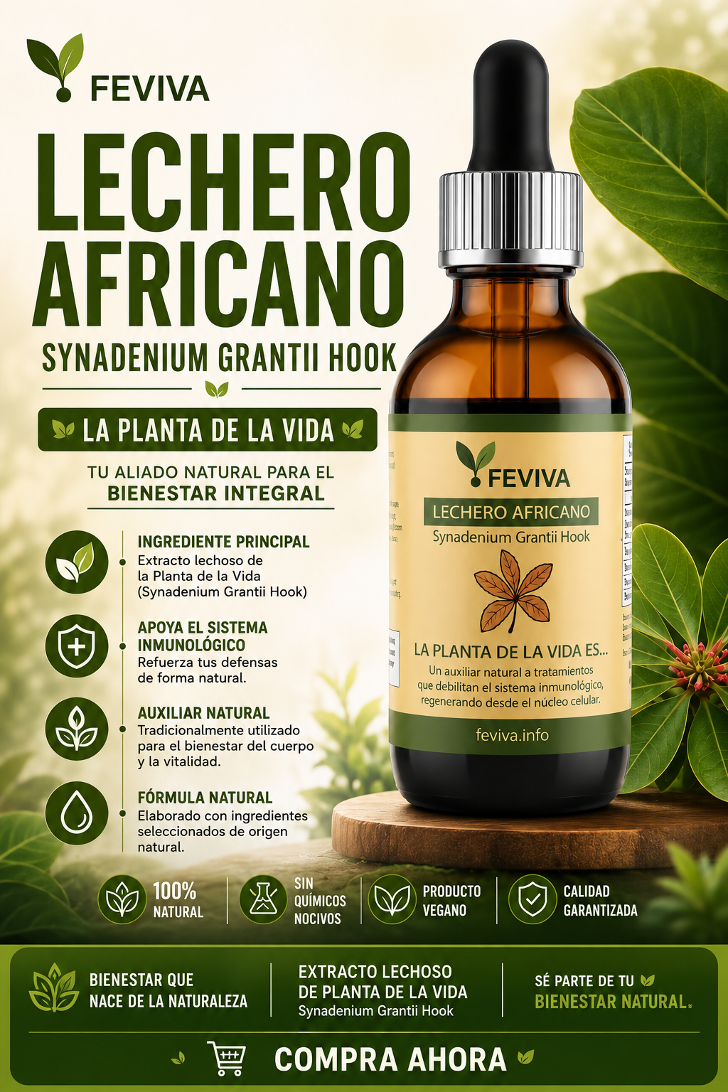 Lechero Africano Feviva | Suplemento Natural para Bienestar y Vitalidad