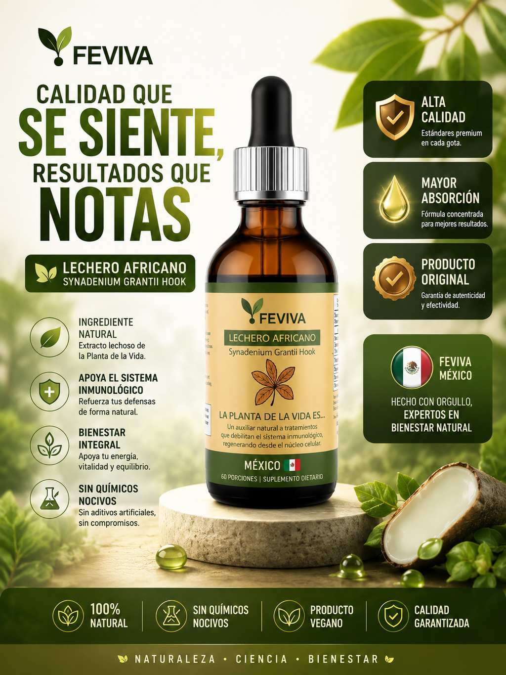 Lechero Africano Feviva | Suplemento Natural para Bienestar y Vitalidad